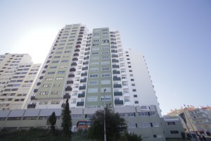 IMG 1754