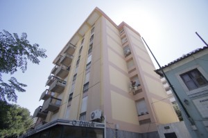 IMG 9531